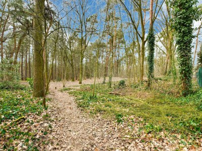 Holiday house Wooden Holiday Home in Meijel with Private Garden - Environment photo 38