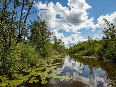 Holiday house B&B farm Grutsk in Suwald with private harbour - Environment photo 32