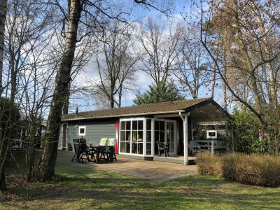 Holiday house Chalet in Voorthuizen with indoor pool - Outdoor photo 13