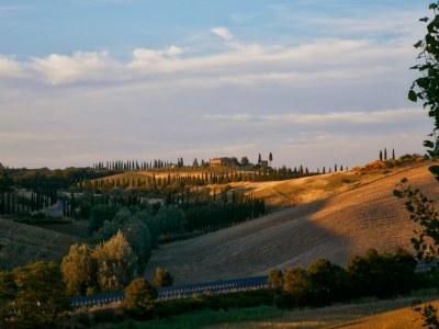 Farmhouse Bauernhaus nahe Siena & Thermalquellen - Environment photo 25