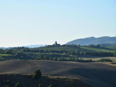 Farmhouse Bauernhaus nahe Siena & Thermalquellen - Environment photo 30
