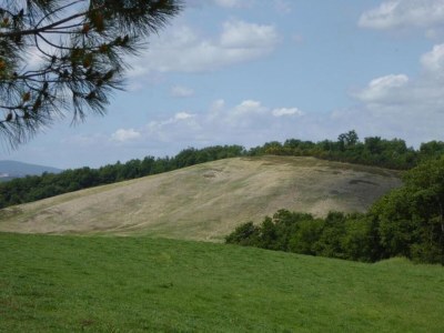Farmhouse Tuscan Hilltop Farm Stay - Environment photo 29
