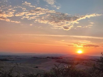 Farmhouse Tuscan Hilltop Farm Stay - Environment photo 32