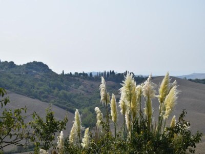 Farmhouse Bauernhaus in der Toskana bei Siena - Environment photo 29