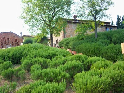 Farmhouse Bauernhaus in der Toskana mit Pool & Weinprobe - Outdoor photo 7
