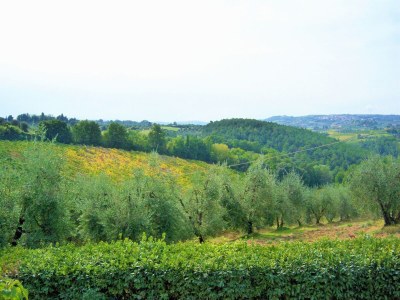 Farmhouse Bauernhaus in der Toskana mit Pool & Weinprobe - Environment photo 32