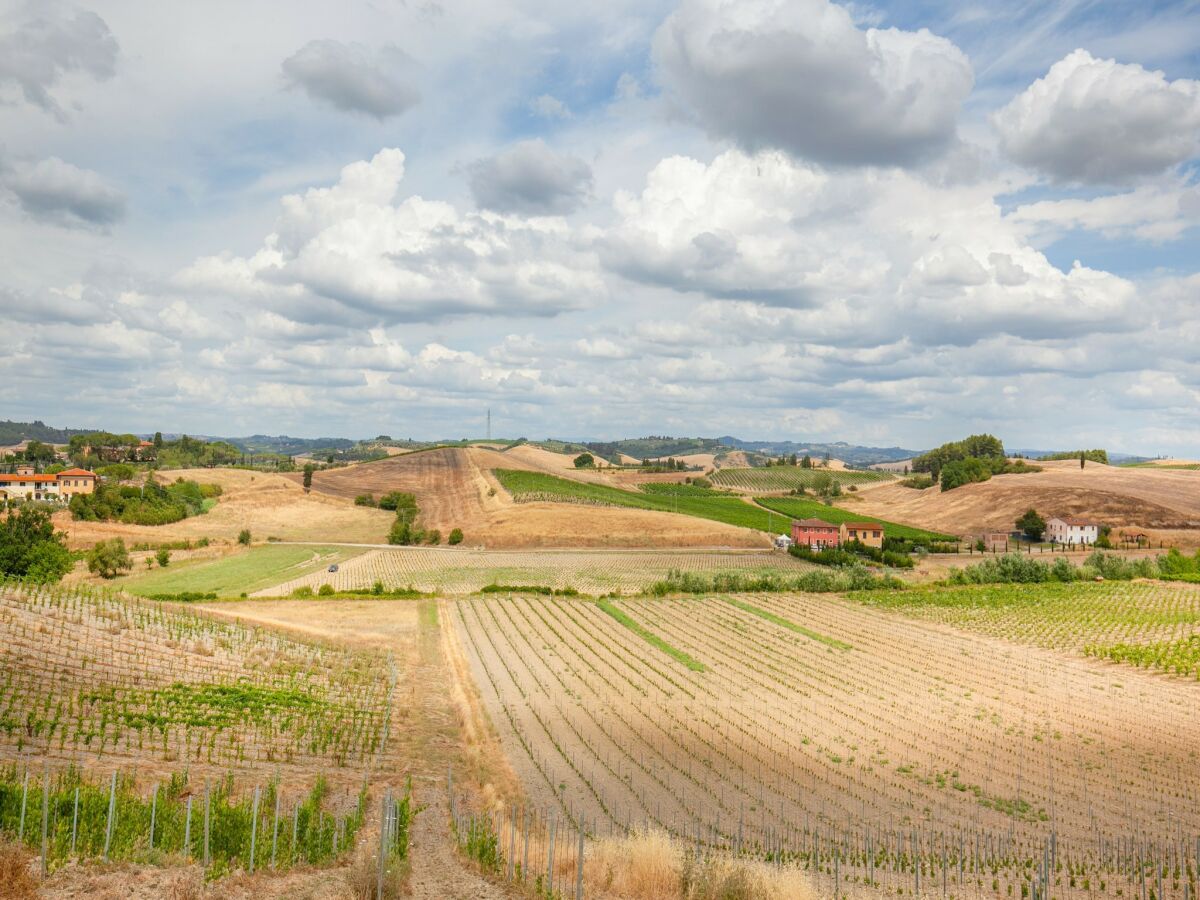 Farmhouse Spacious Tuscany Retreat - Outdoor photo 3