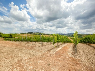 Farmhouse Spacious Tuscany Retreat - Environment photo 36