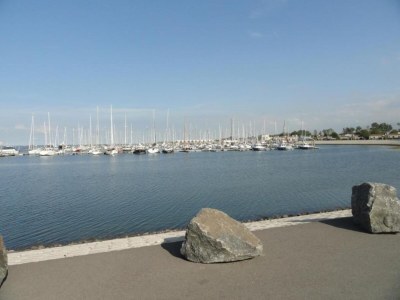 Apartment Apartment in Kamperland with Marina Views - Environment photo 35