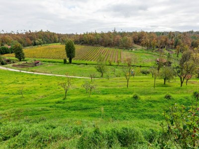 Farmhouse Gemütlicher toskanischer Kurzurlaub - Outdoor photo 7