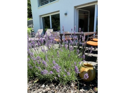 Apartment Arlberg - Outdoor photo 52