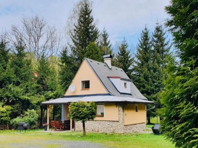 Apartment Apartment in Salchau near Lachtal Ski Area - Environment photo 31