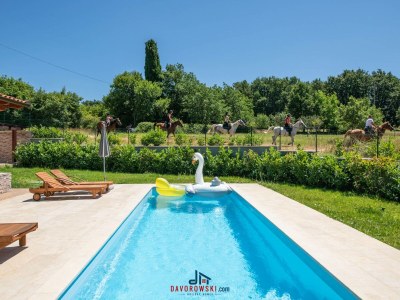Villa Madonnina - Environment photo 30