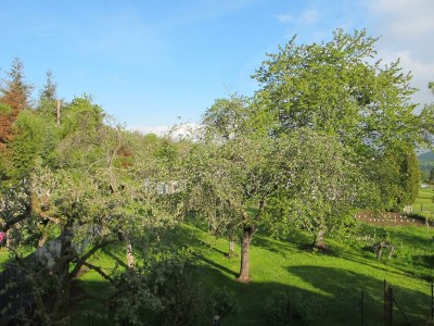 Apartment 2-Bett-Ferienhaus Quartier-Eifel bis 3 Personen - Features photo 37