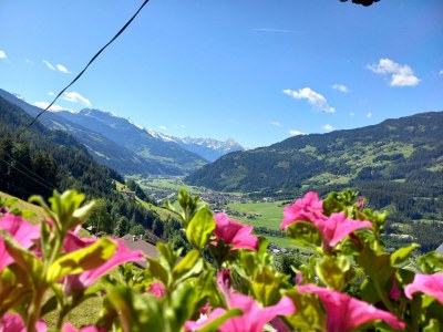 Apartment Appartement 2 - 6 Personen - Outdoor photo 25