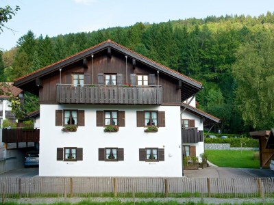 Apartment Ferienwohnung Kapf - Outdoor photo 36