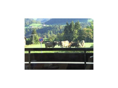 Apartment Alpenappartement Berger - Outdoor photo 12