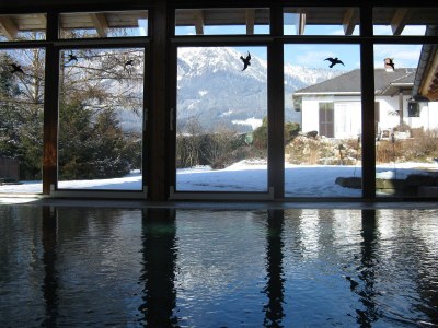 Holiday house - the Waterhouse - Outdoor photo 6