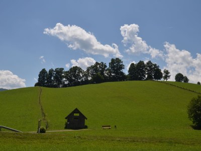 Holiday house - the Waterhouse - Environment photo 19