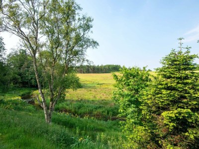 Holiday house Tranquil Riverside Retreat - Outdoor photo 14