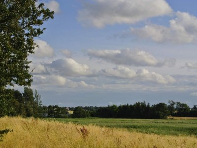 Holiday house Ruhiger Ruckzugsort in Hejlsminde-By Traum - Outdoor photo 33
