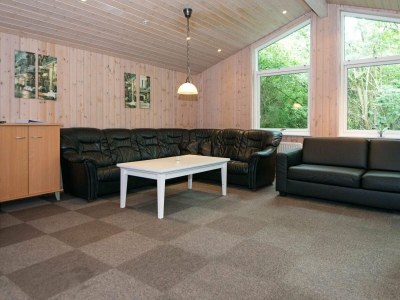 Holiday house 20 Personen Ferienhaus in Herning-By Traum - Outdoor photo 9