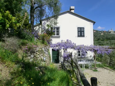 Holiday house Casa Bianca in Chiavari - Holiday house