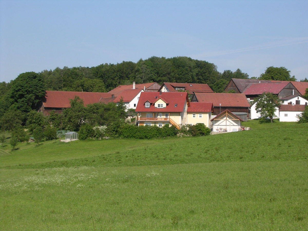 Holiday apartment Kiesenberg 9 - Outdoor photo 5