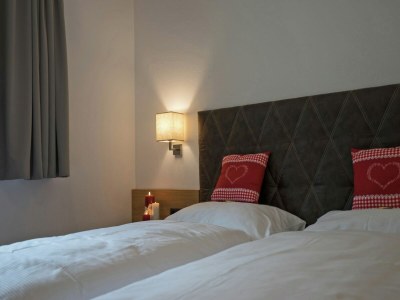 Apartment Chalet in Mayrhofen near Ski Lifts - Features photo 15