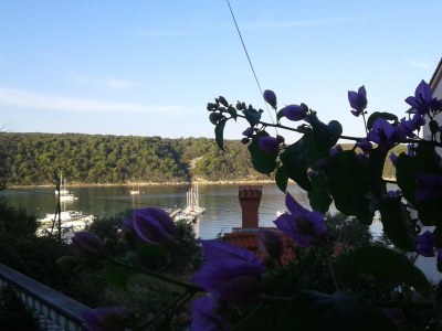 Apartment Villa Jagoda - Outdoor photo 2