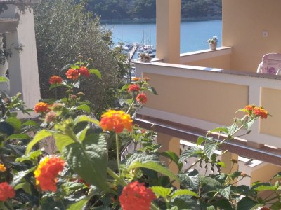 Apartment Villa Jagoda - Outdoor photo 16