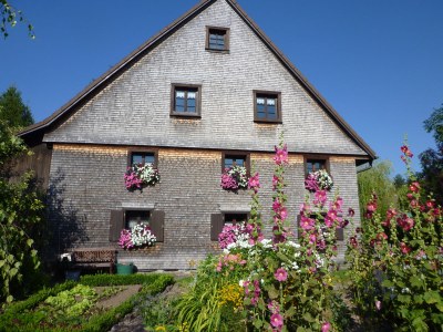 Holiday apartment Bauernhausteil - Outdoor photo 9