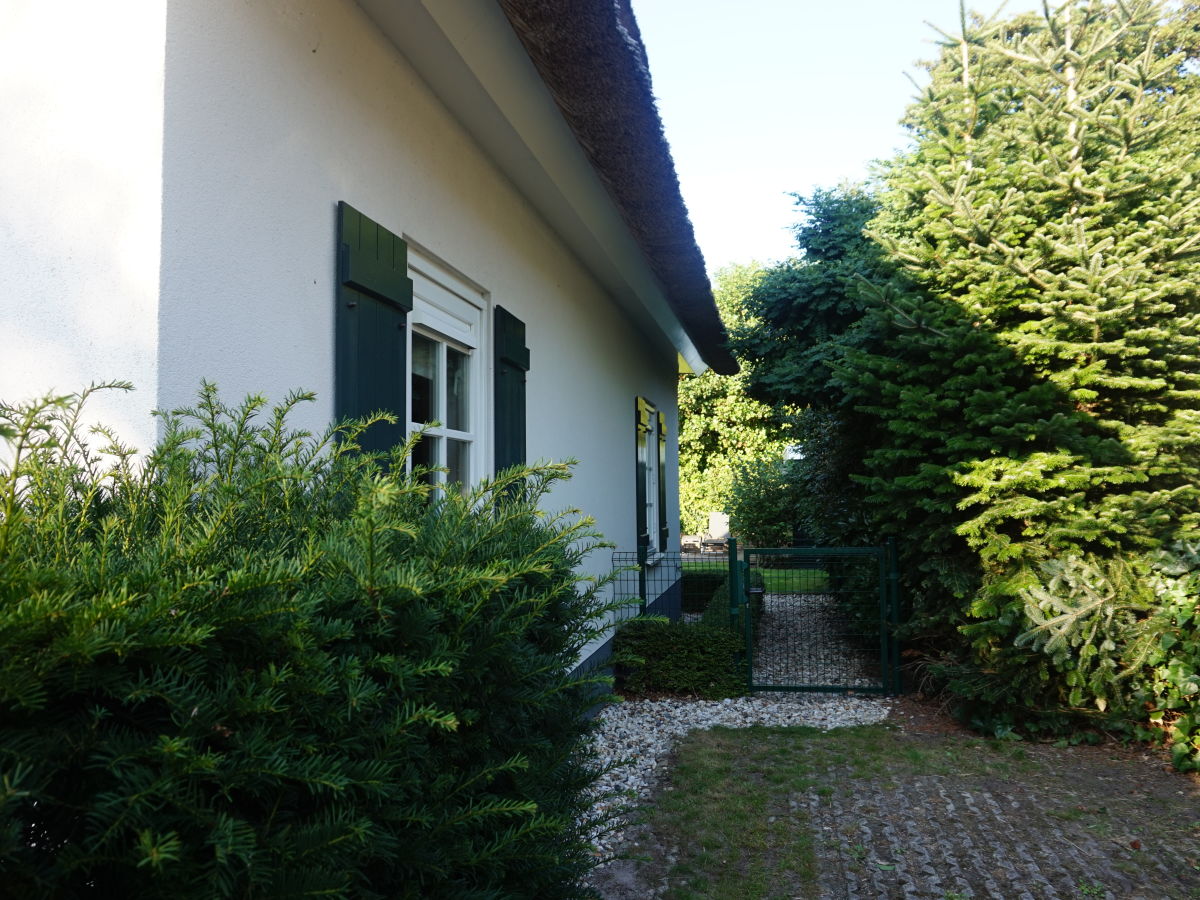 Holiday house Hoeve Duinzicht - Outdoor photo 4