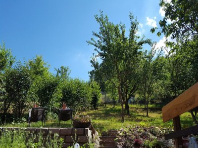 Holiday house Ferienhaus mit Naturgarten - Outdoor photo 30