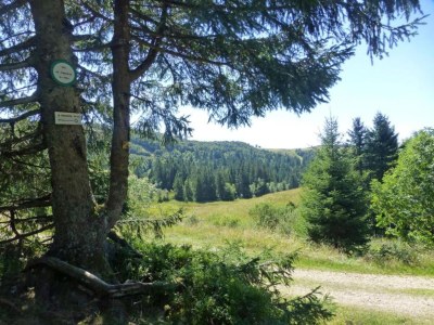 Chalet Chalet in La Bresse mit Talblick - Environment photo 23