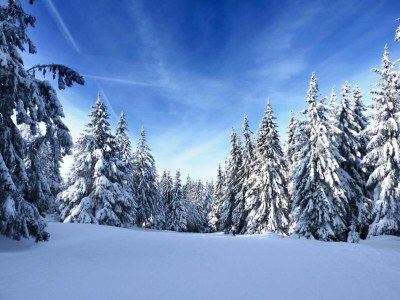Chalet Chalet in La Bresse mit Talblick - Environment photo 25