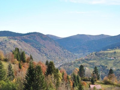 Chalet Chalet in La Bresse mit Talblick - Environment photo 30