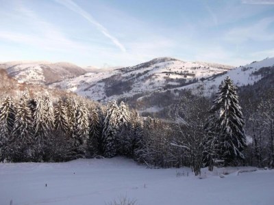Chalet Chalet in La Bresse mit Talblick - Environment photo 37