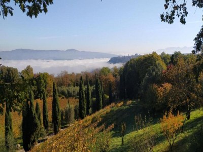 Cottage Ferienhaus in Assisi mit Gartenblick - Environment photo 34