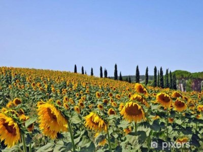 Holiday house Villa in Italy with Private Garden Retreat - Environment photo 34