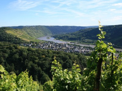 Holiday apartment Villa Weisgerber - Environment photo 10