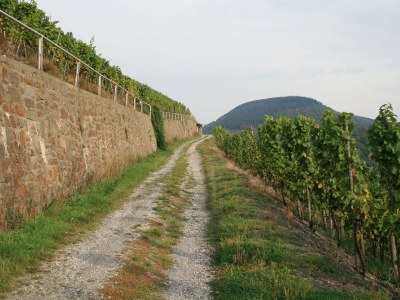 Holiday apartment Villa Weisgerber - Environment photo 20