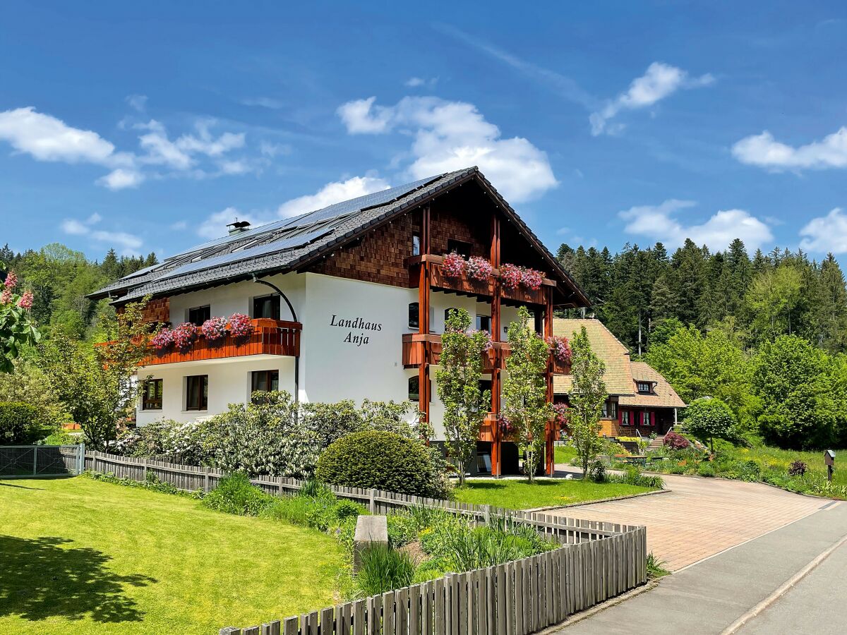 Holiday apartment farm house Anja - Outdoor photo 2