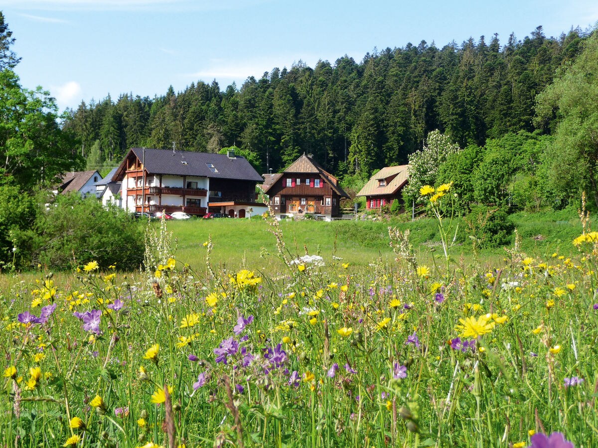 Holiday apartment farm house Anja - Outdoor photo 3