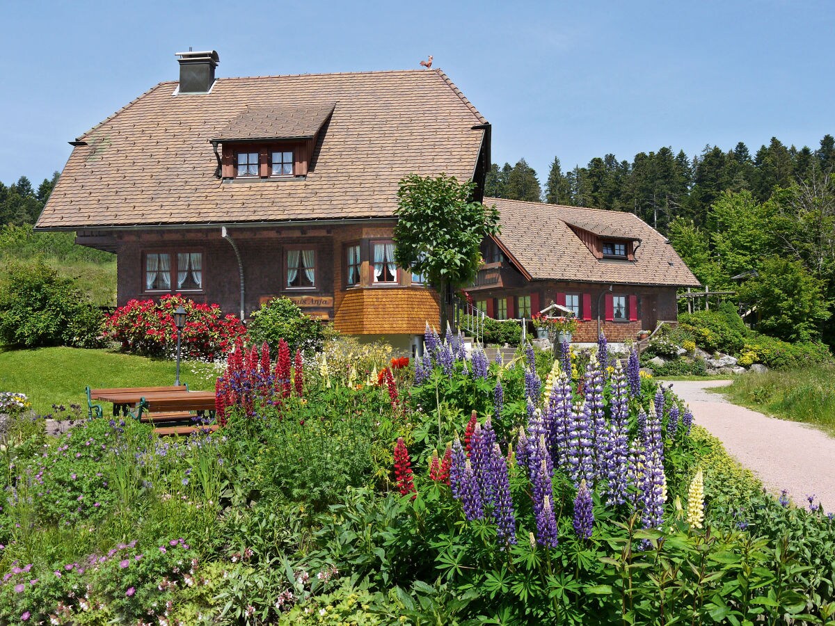 Holiday apartment farm house Anja - Outdoor photo 5