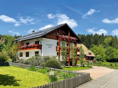 Holiday apartment farm house Anja - Outdoor photo 2
