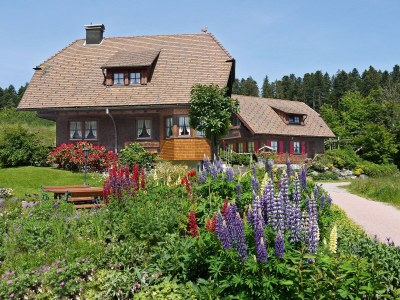 Holiday apartment farm house Anja - Outdoor photo 5