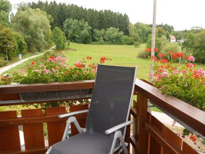 Holiday apartment farm house Anja - Outdoor photo 8
