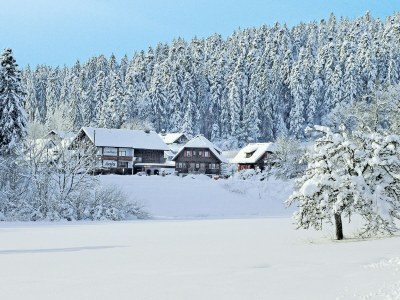 Holiday apartment farm house Anja - Outdoor photo 11