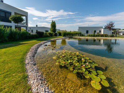 Apartment Heritage Apartment with Swimming Pond - Outdoor photo 6
